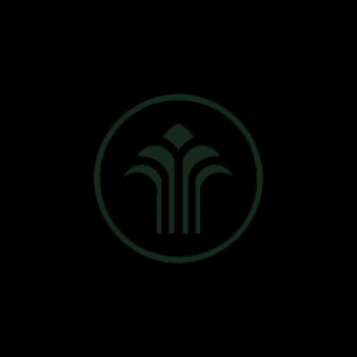 Origin Logo